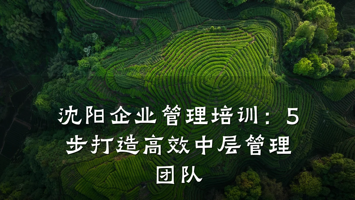 沈阳企业管理培训:5步打造高效中层管理团队