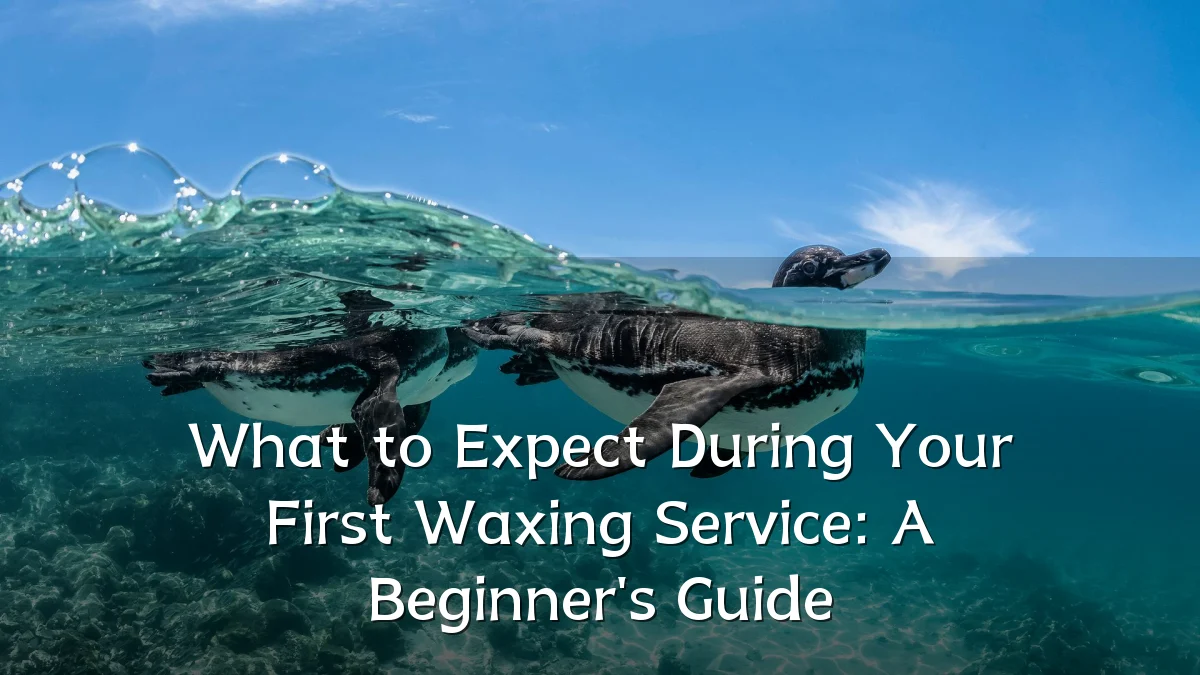 What to Expect During Your First Waxing Service: A Beginner's Guide