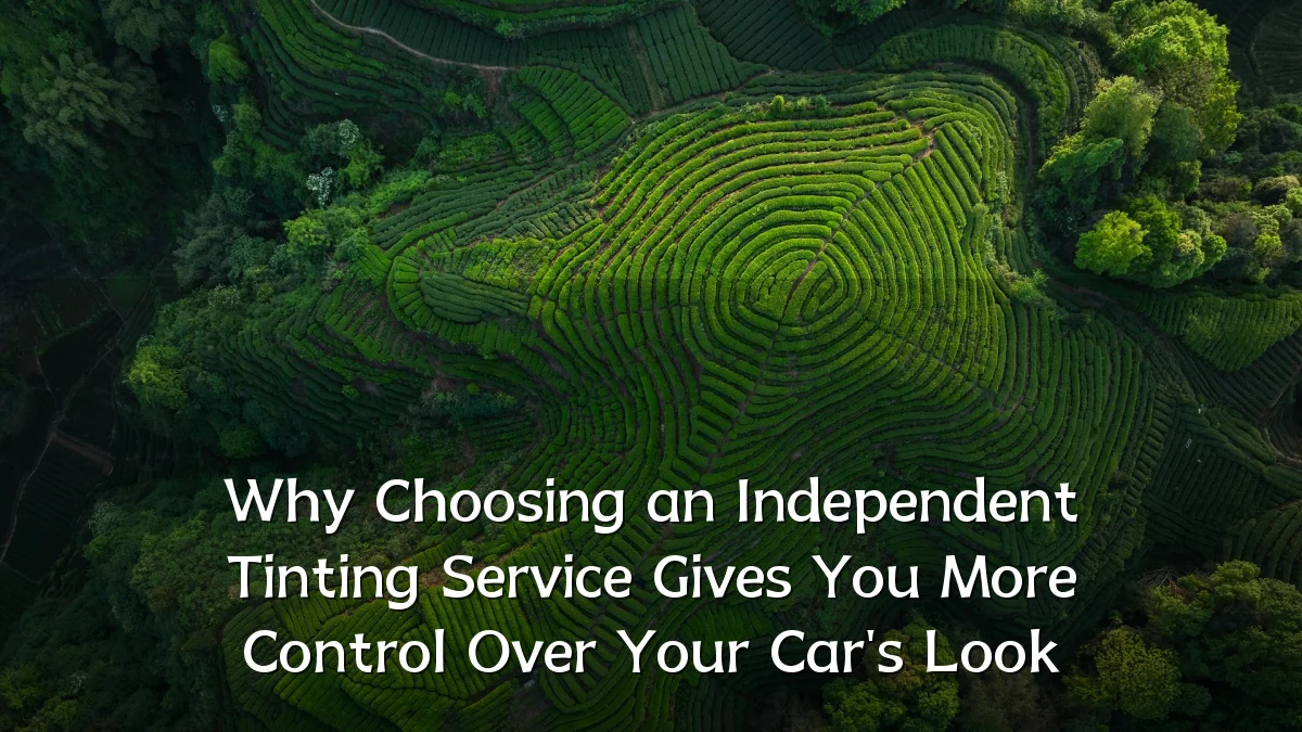 Why Choosing an Independent Tinting Service Gives You More Control Over Your Car's Look