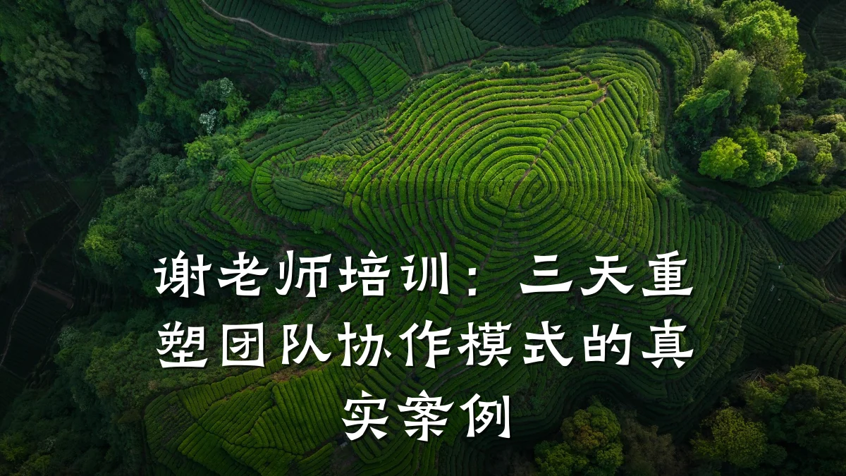 谢老师培训:三天重塑团队协作模式的真实案例