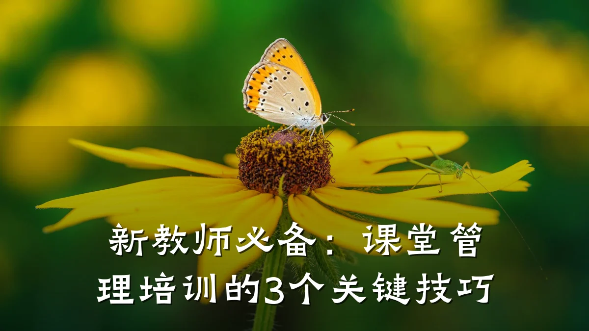 新教师必备:课堂管理培训的3个关键技巧