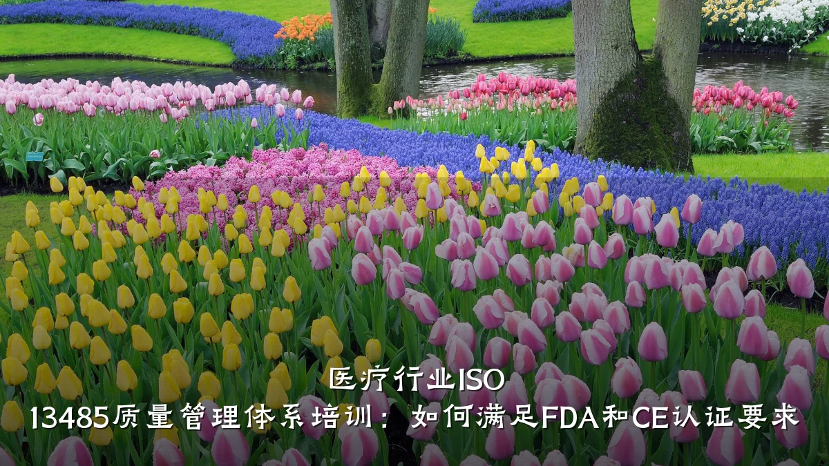 医疗行业ISO 13485质量管理体系培训:如何满足FDA和CE认证要求