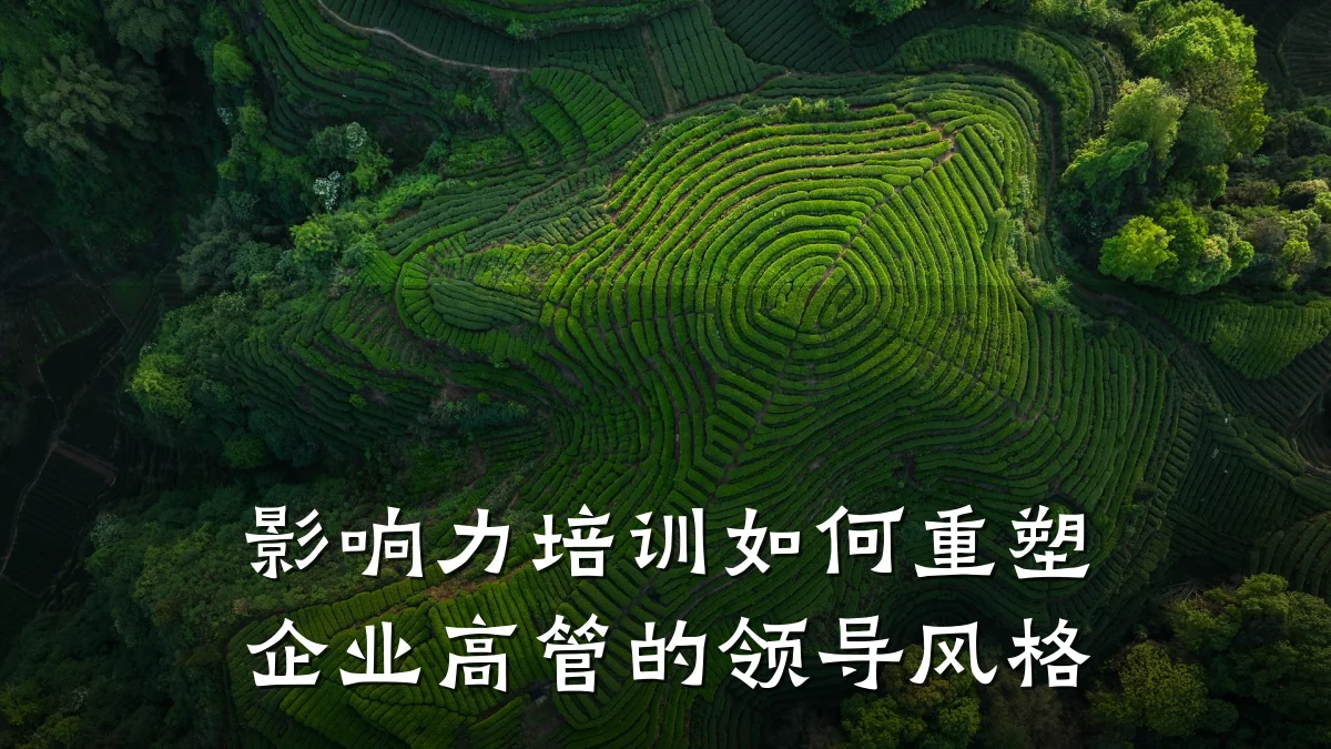 影响力培训如何重塑企业高管的领导风格