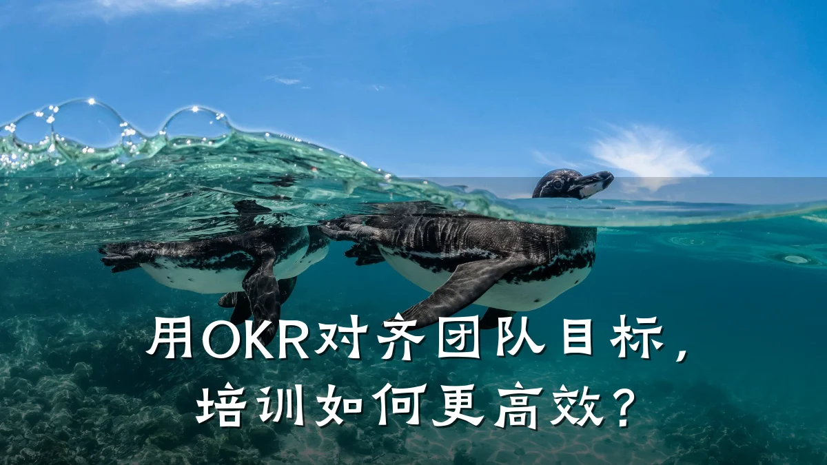 用OKR对齐团队目标,培训如何更高效?