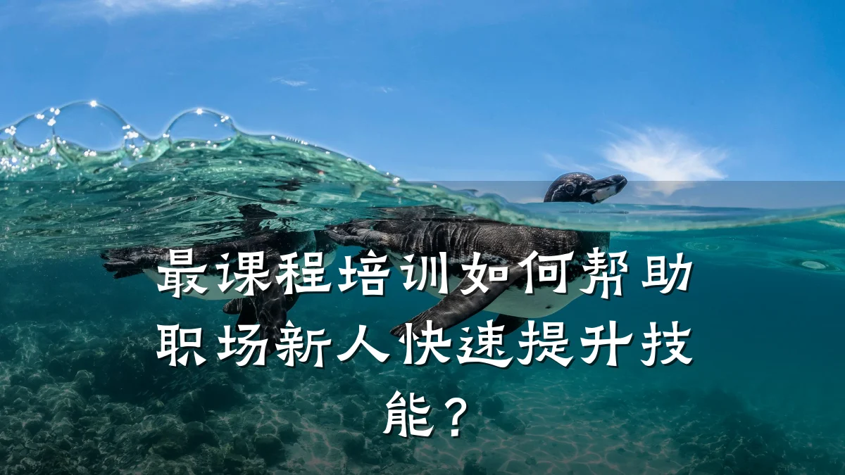 最课程培训如何帮助职场新人快速提升技能?