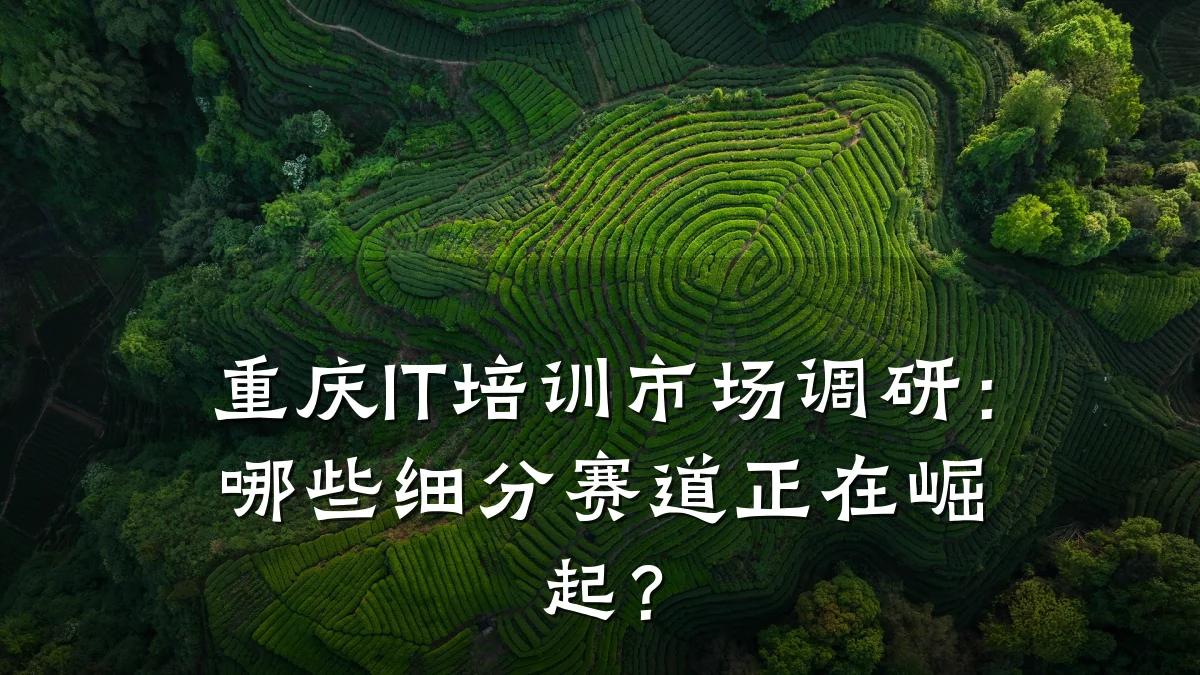 重庆IT培训市场调研:哪些细分赛道正在崛起?