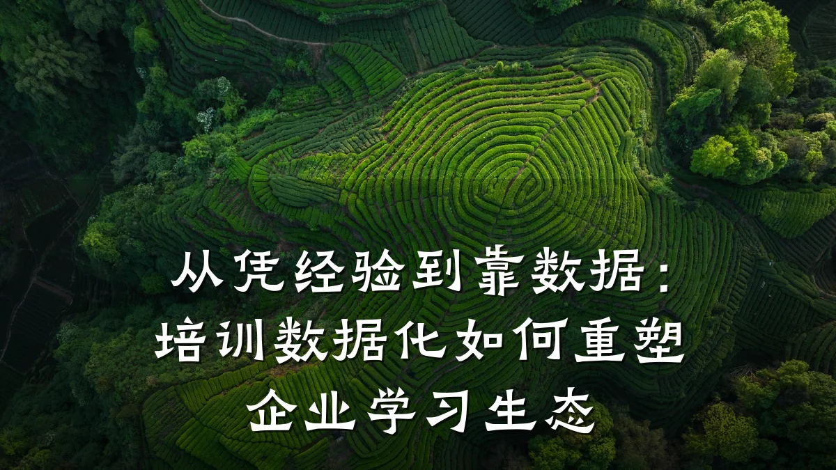 从凭经验到靠数据：培训数据化如何重塑企业学习生态