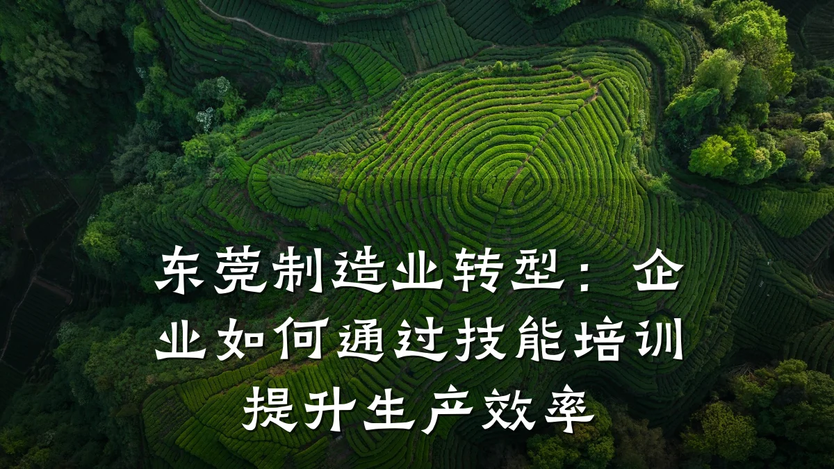 东莞制造业转型:企业如何通过技能培训提升生产效率