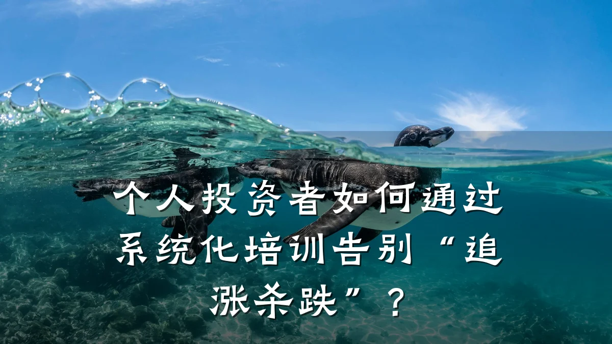 个人投资者如何通过系统化培训告别“追涨杀跌”?