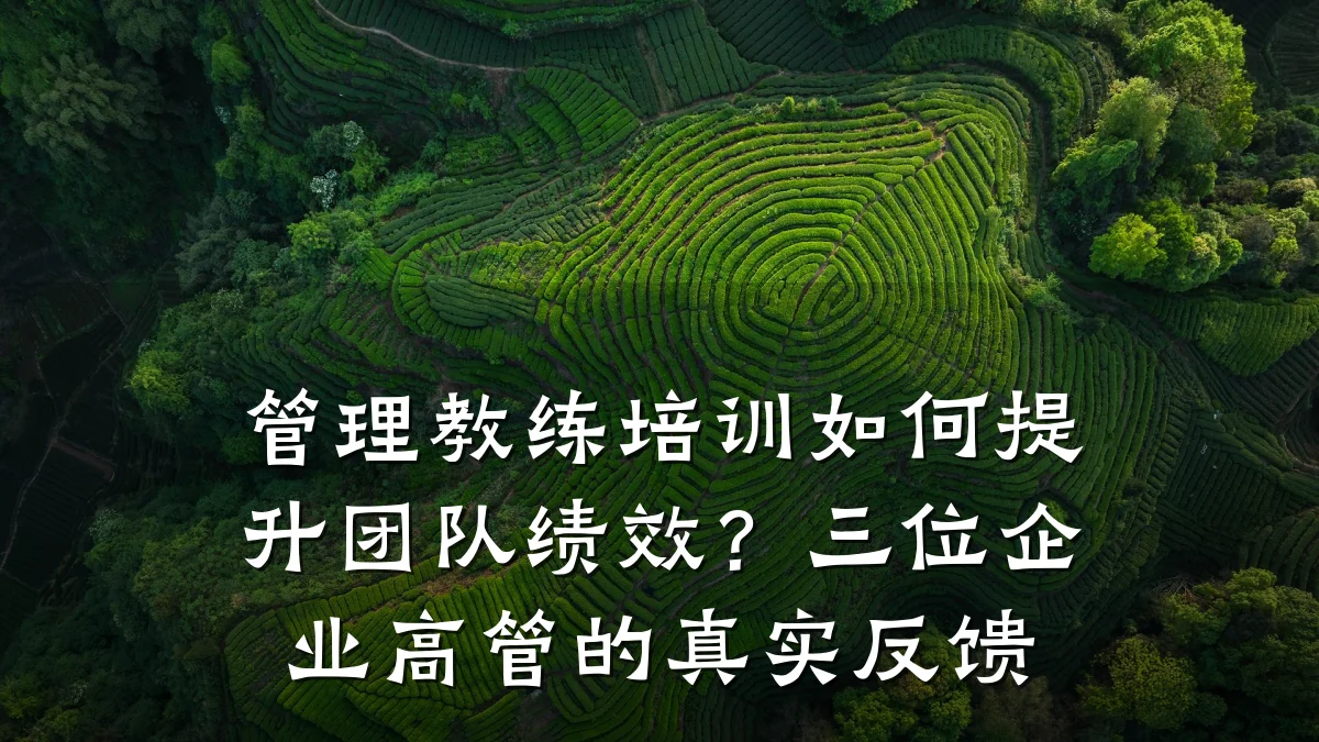 管理教练培训如何提升团队绩效?三位企业高管的真实反馈