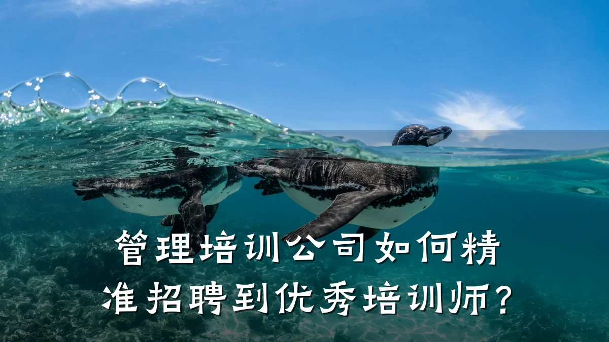 管理培训公司如何精准招聘到优秀培训师?