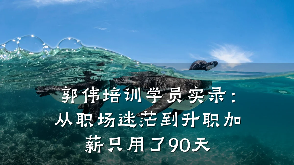 郭伟培训学员实录:从职场迷茫到升职加薪只用了90天