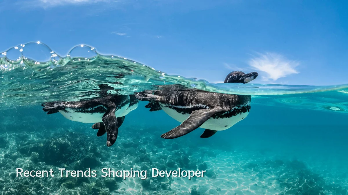 Recent Trends Shaping Developer