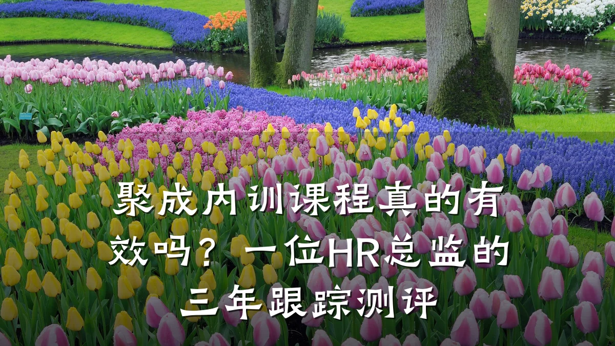 聚成内训课程真的有效吗?一位HR总监的三年跟踪测评