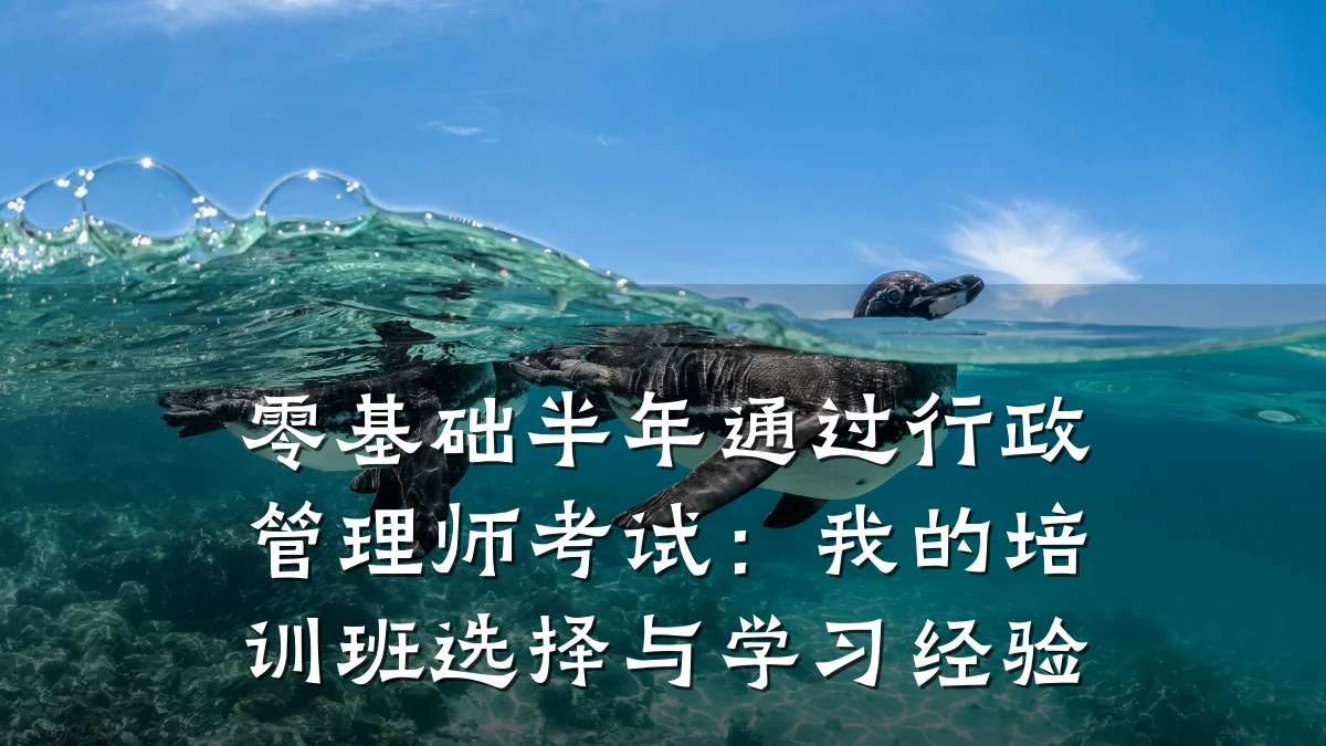 零基础半年通过行政管理师考试:我的培训班选择与学习经验