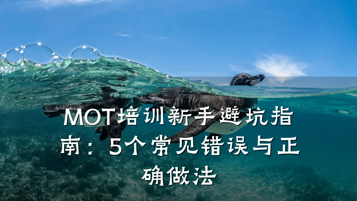 MOT培训新手避坑指南:5个常见错误与正确做法