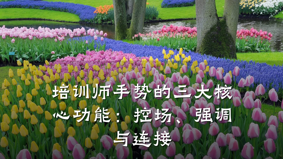 培训师手势的三大核心功能:控场、强调与连接