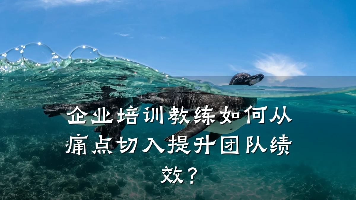 企业培训教练如何从痛点切入提升团队绩效?