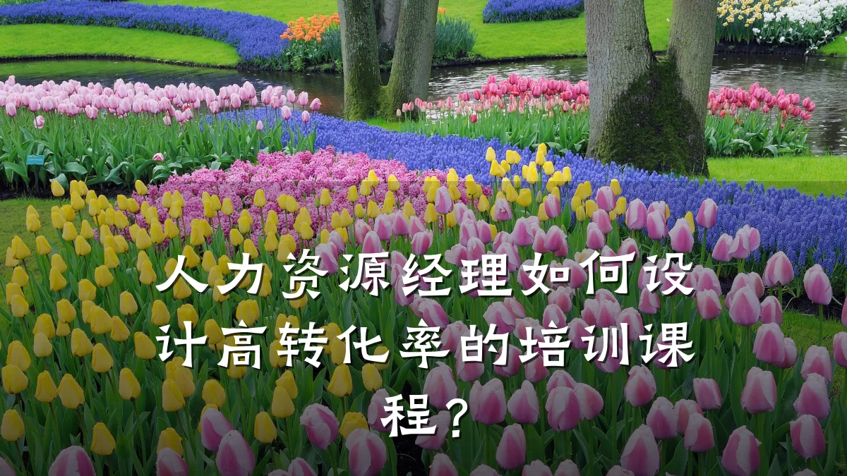 人力资源经理如何设计高转化率的培训课程?
