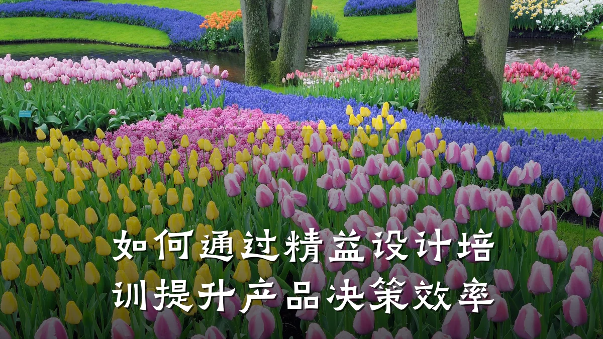如何通过精益设计培训提升产品决策效率