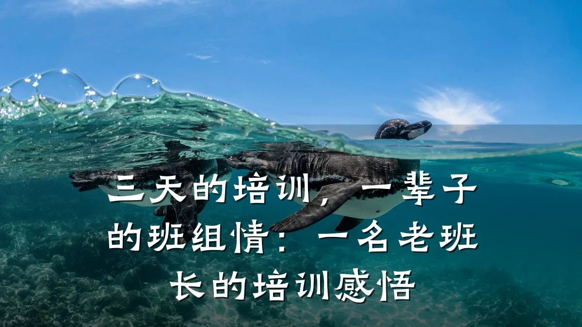 三天的培训,一辈子的班组情:一名老班长的培训感悟