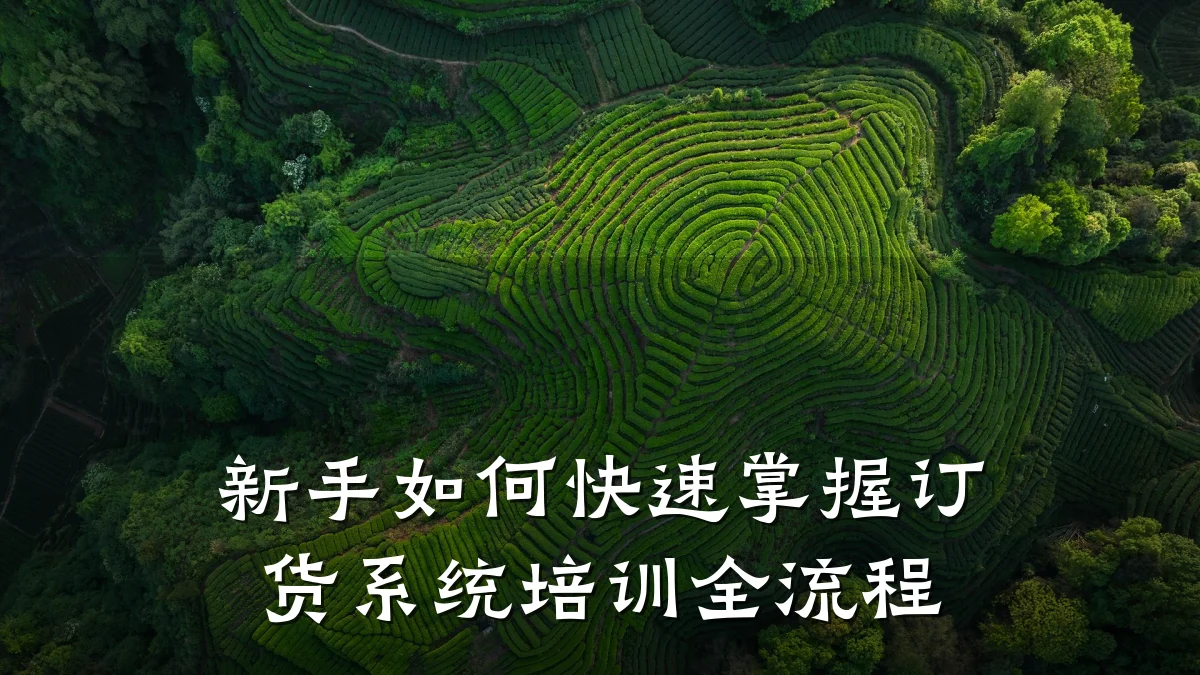 新手如何快速掌握订货系统培训全流程