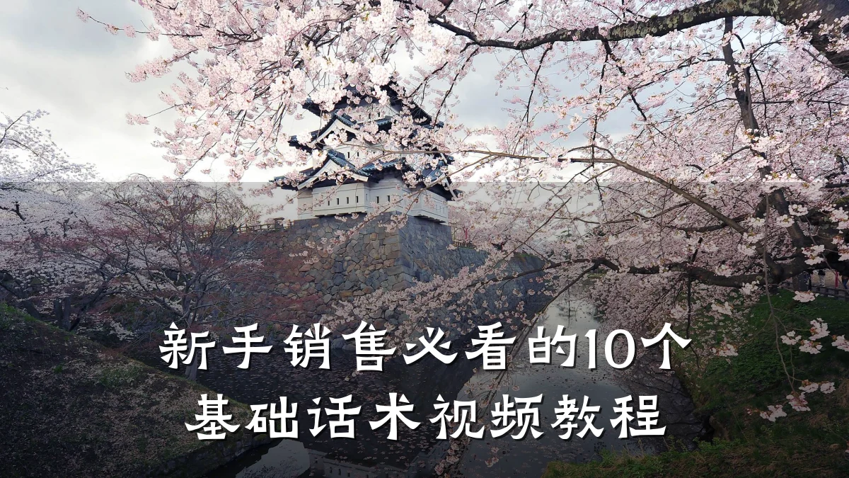新手销售必看的10个基础话术视频教程