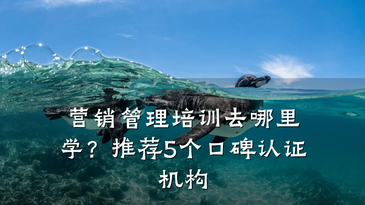 营销管理培训去哪里学?推荐5个口碑认证机构