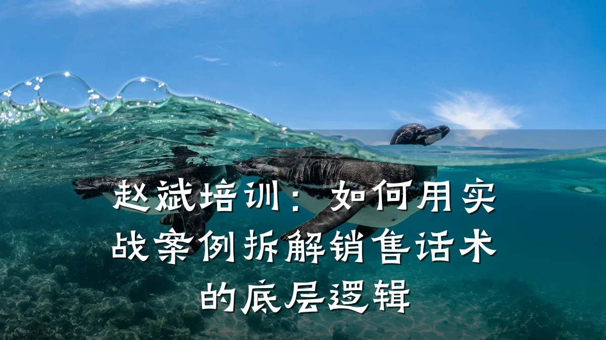 赵斌培训:如何用实战案例拆解销售话术的底层逻辑