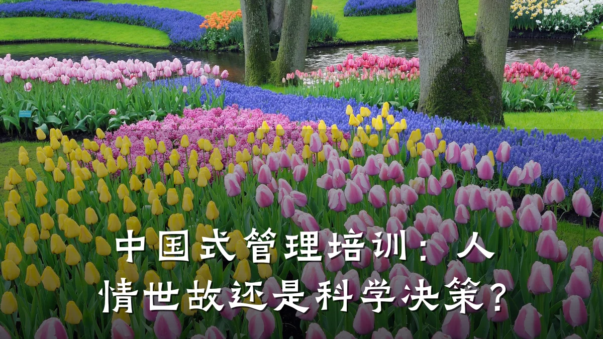 中国式管理培训:人情世故还是科学决策?