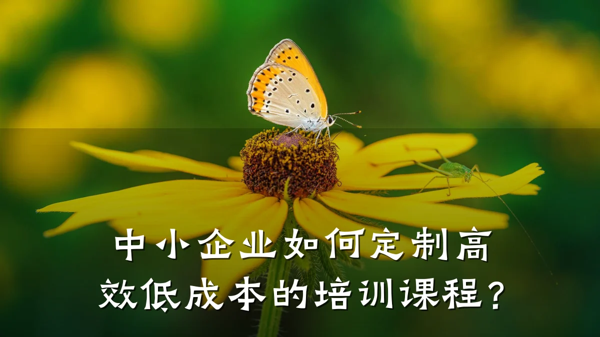 中小企业如何定制高效低成本的培训课程？