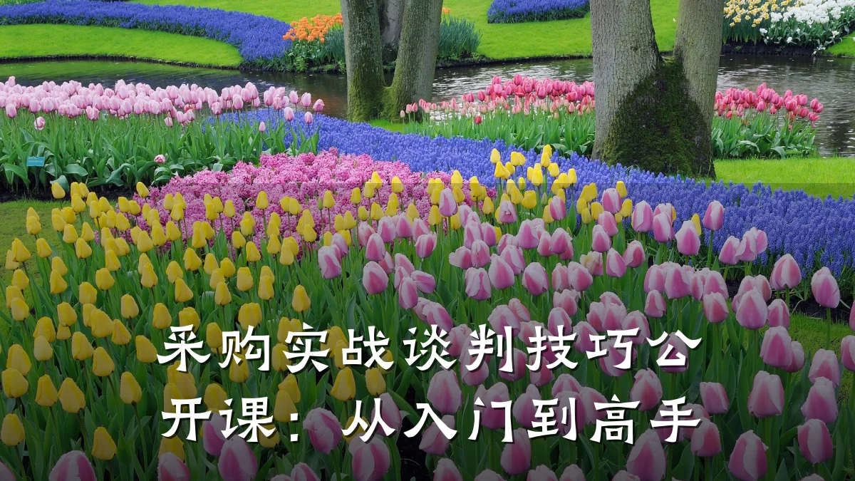 采购实战谈判技巧公开课:从入门到高手