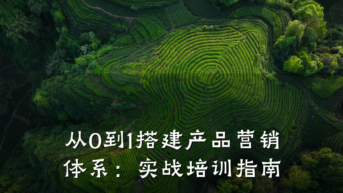 从0到1搭建产品营销体系:实战培训指南