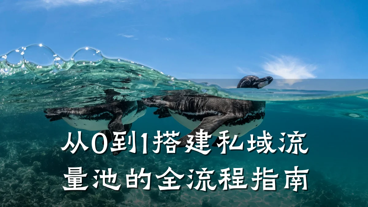从0到1搭建私域流量池的全流程指南
