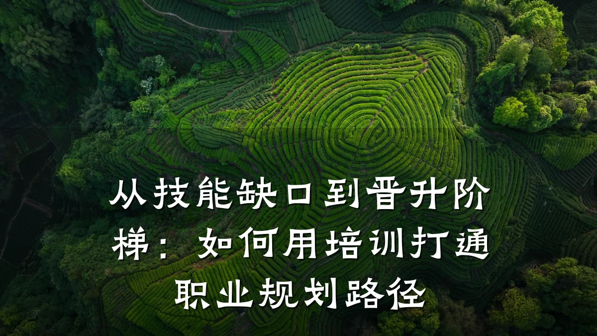 从技能缺口到晋升阶梯:如何用培训打通职业规划路径