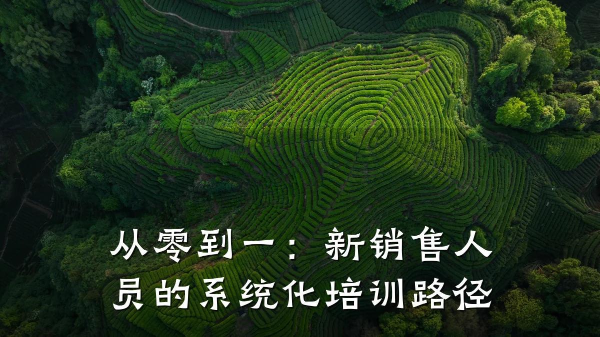 从零到一:新销售人员的系统化培训路径