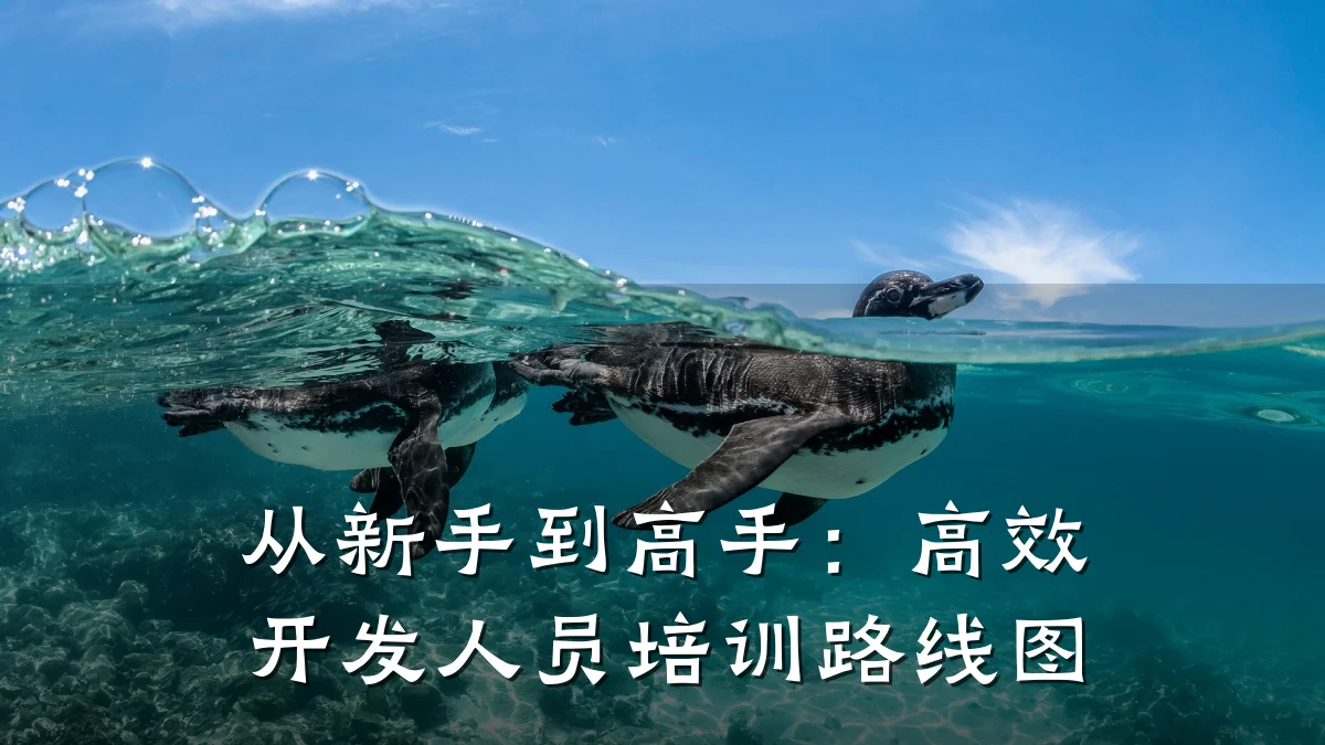 从新手到高手:高效开发人员培训路线图