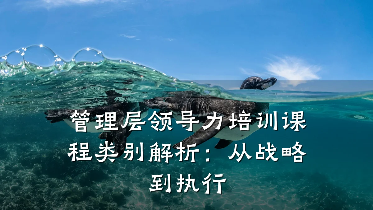 管理层领导力培训课程类别解析:从战略到执行