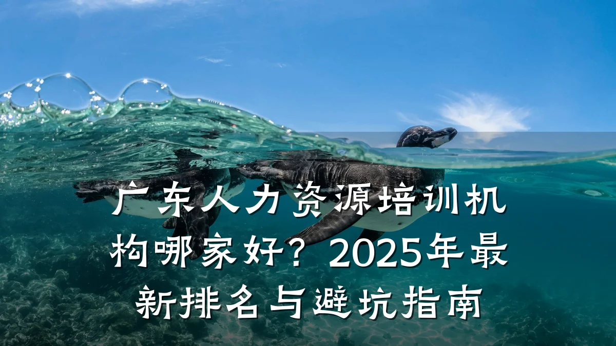 广东人力资源培训机构哪家好?2025年最新排名与避坑指南