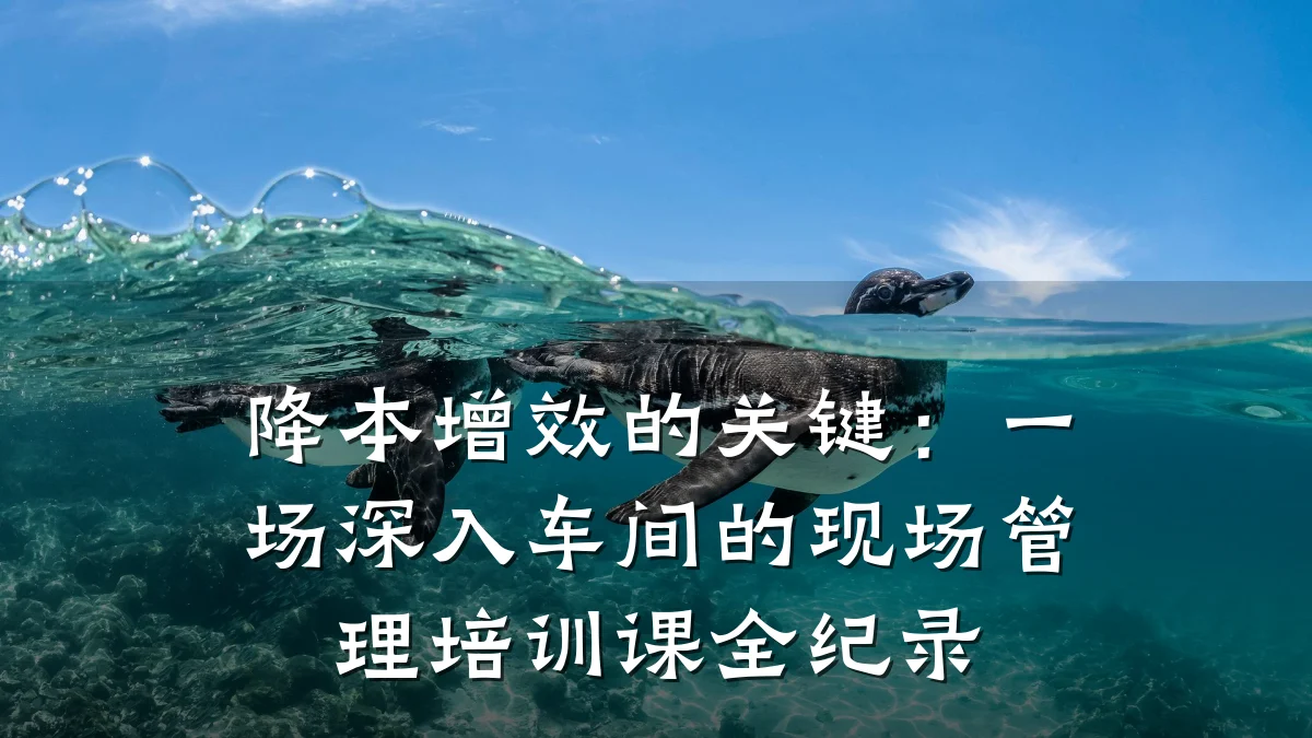 降本增效的关键:一场深入车间的现场管理培训课全纪录