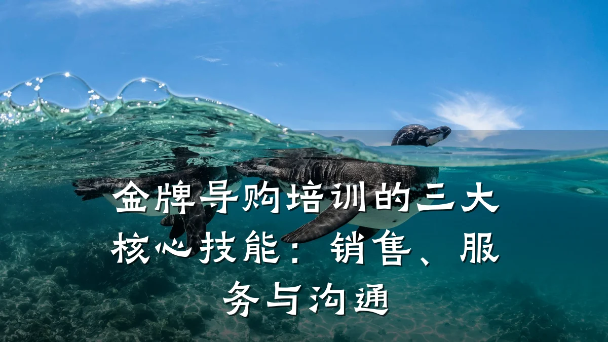 金牌导购培训的三大核心技能:销售、服务与沟通