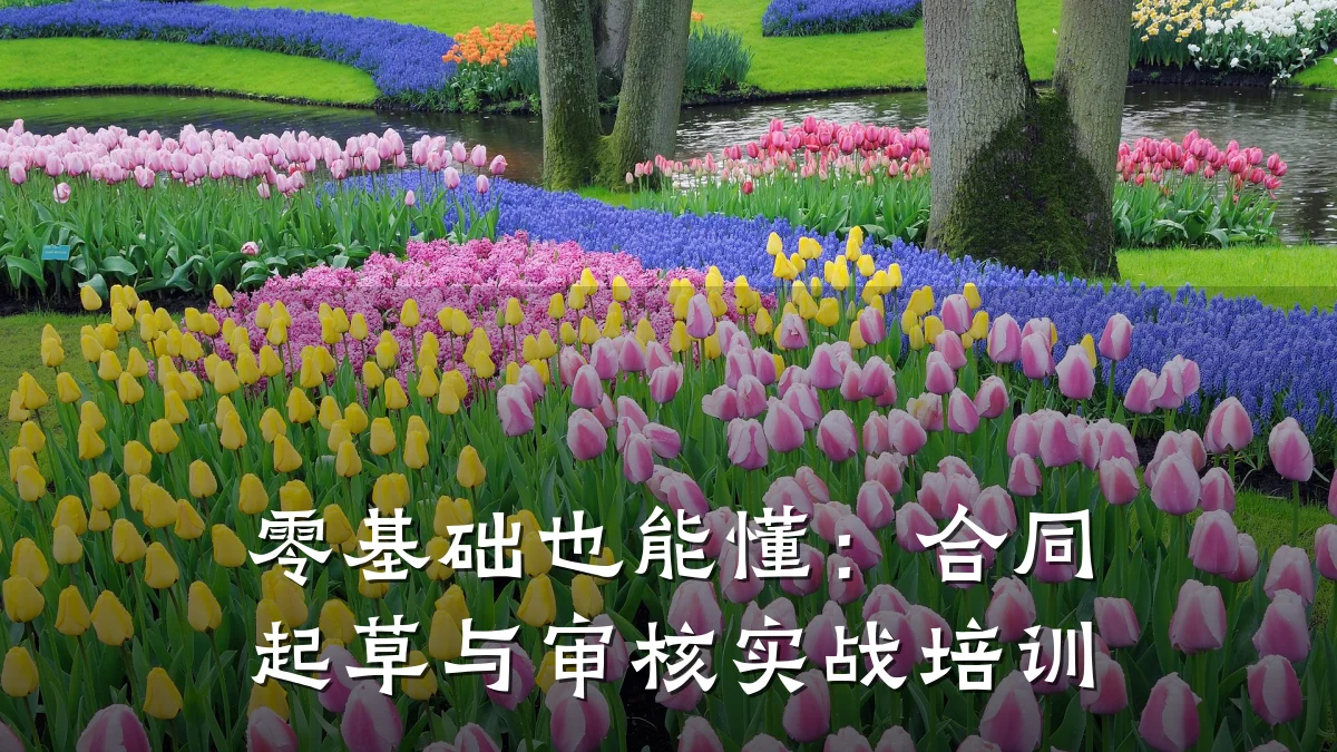 零基础也能懂:合同起草与审核实战培训