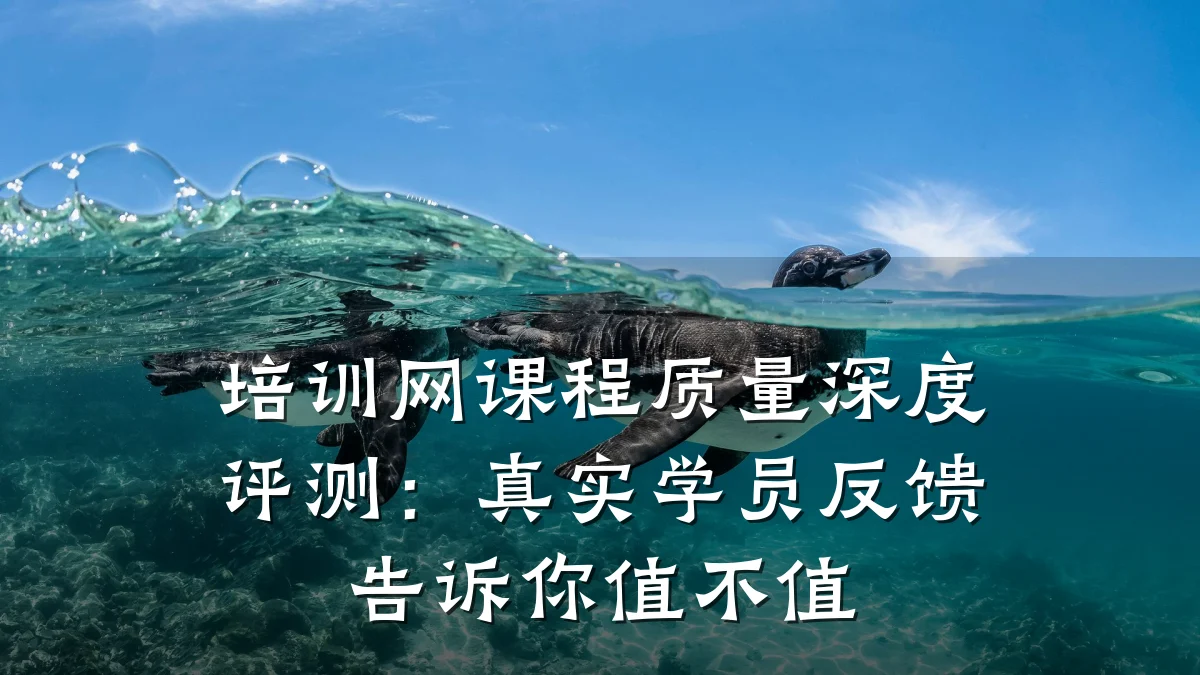 培训网课程质量深度评测:真实学员反馈告诉你值不值