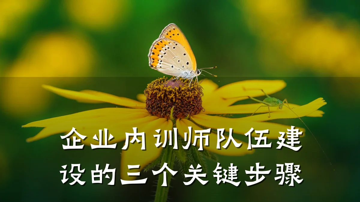 企业内训师队伍建设的三个关键步骤