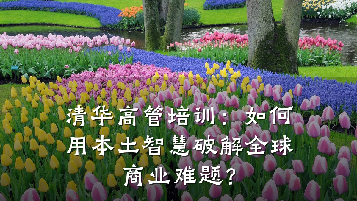 清华高管培训:如何用本土智慧破解全球商业难题?