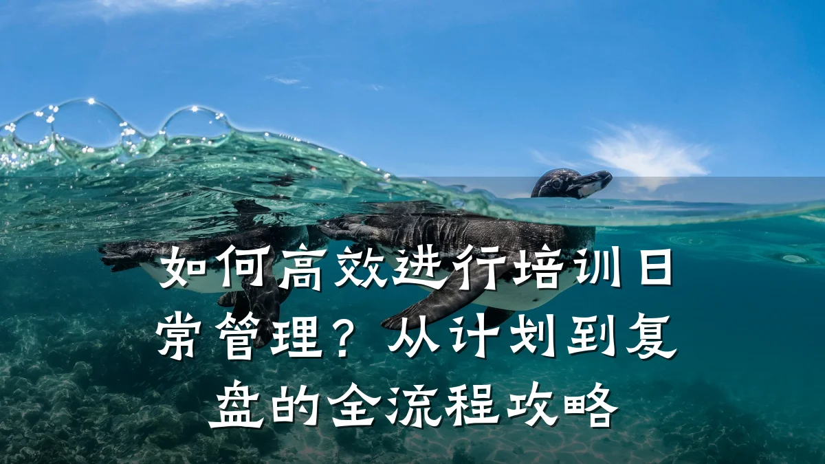 如何高效进行培训日常管理?从计划到复盘的全流程攻略