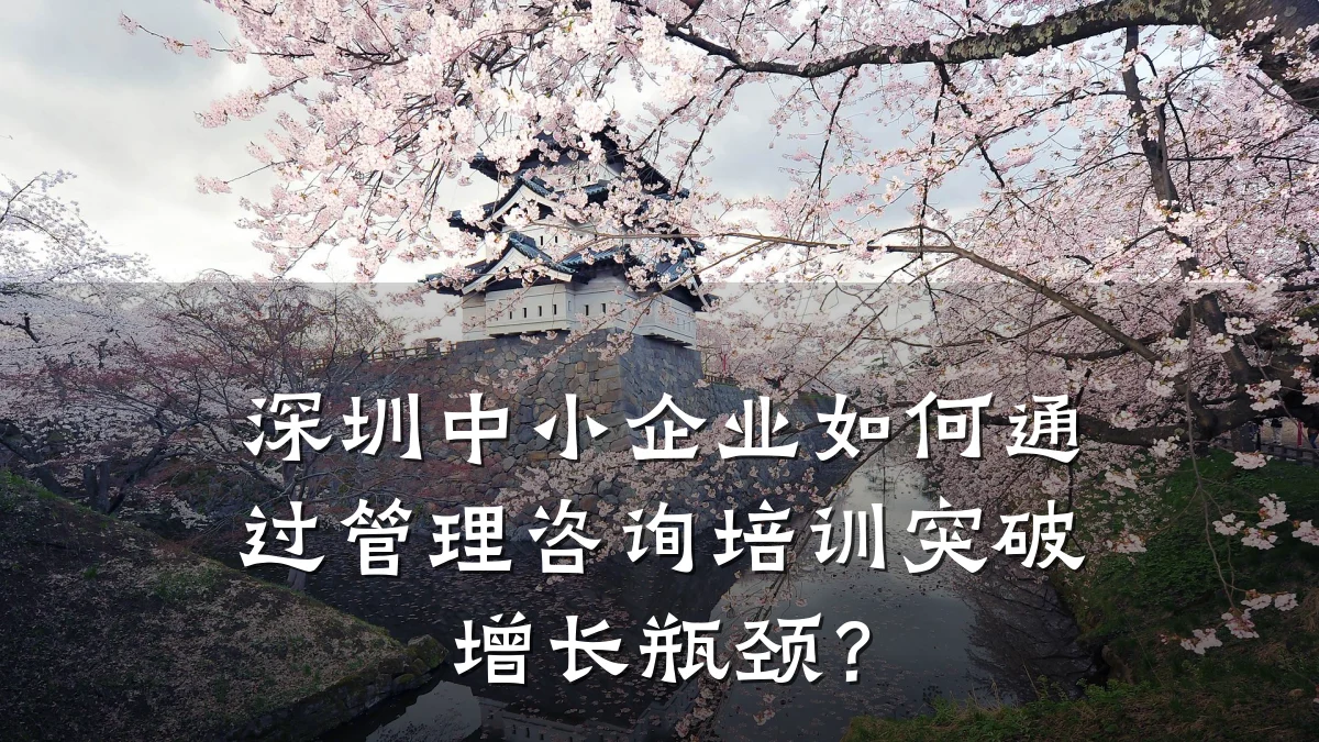 深圳中小企业如何通过管理咨询培训突破增长瓶颈？