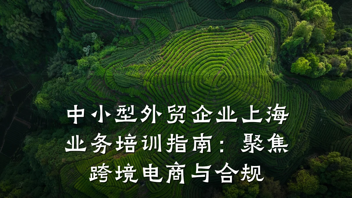 中小型外贸企业上海业务培训指南:聚焦跨境电商与合规