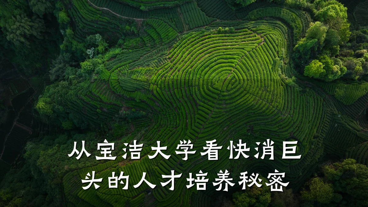 从宝洁大学看快消巨头的人才培养秘密