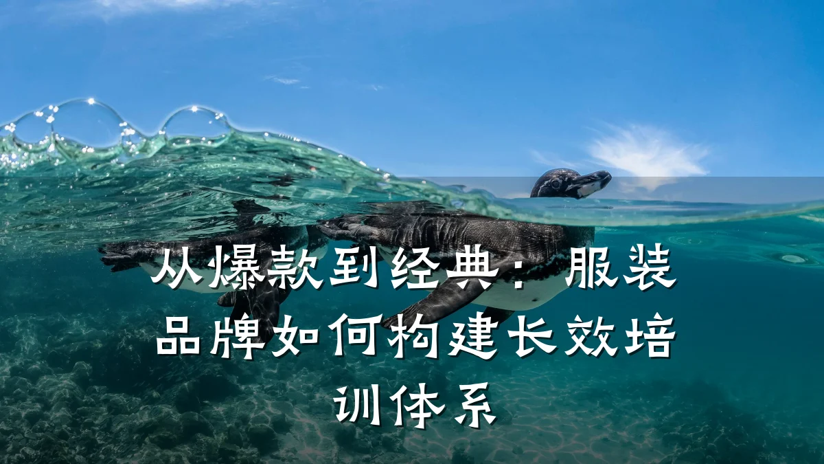从爆款到经典:服装品牌如何构建长效培训体系